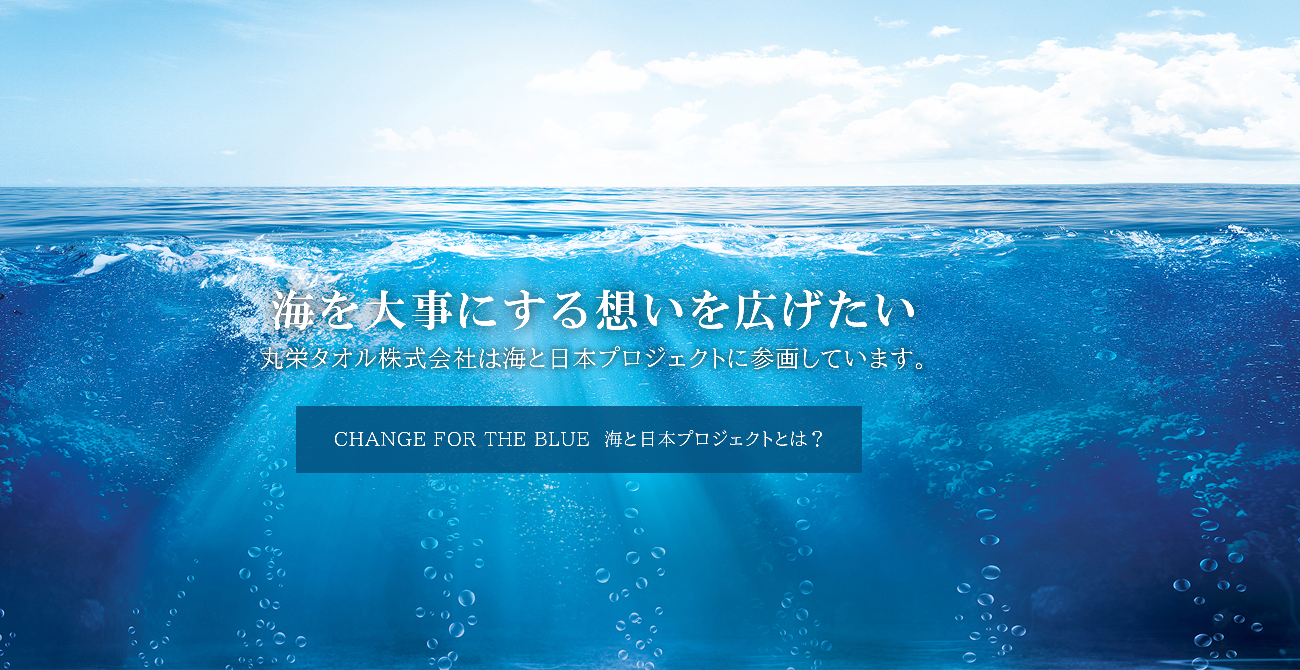 丸栄タオル株式会社は海と日本プロジェクトに参画しています